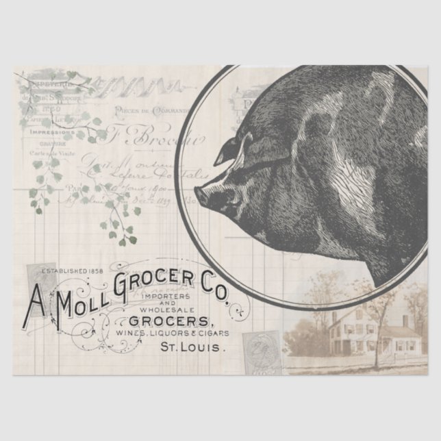 Mousseline Enveloppe cadeau papier papier pour porc d'élevage (Recto)