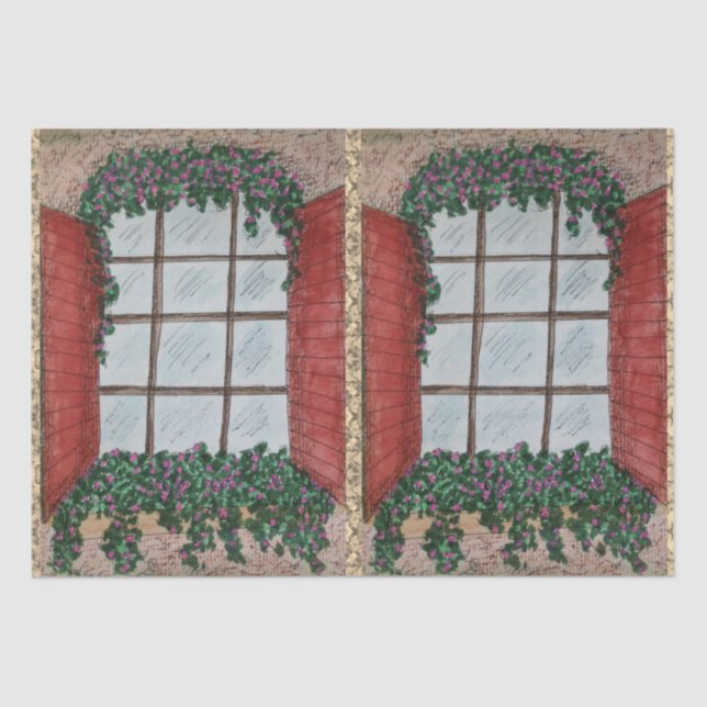 Mousseline Fenêtre avec papier de fond (Recto)