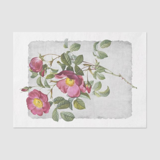 Mousseline Fleur 45 Papier Tissu De Découpage Rose (Recto)