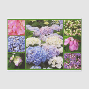 Mousseline Fleurs d'Hydrangea PAPIER DE CUIVRE Collage-TISSUE