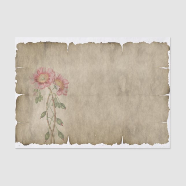 Mousseline Fleurs roses exquises sur papier de papier parchem (Recto)