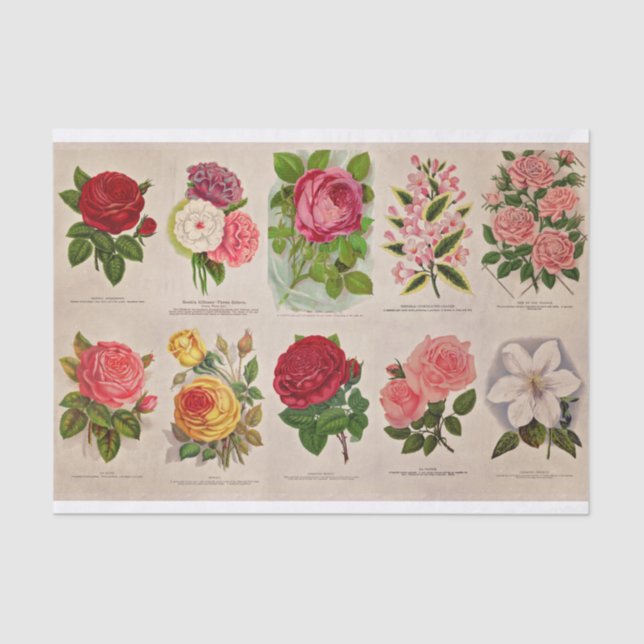 Mousseline Fleurs vintages pour papier découpage ou collage (Recto)
