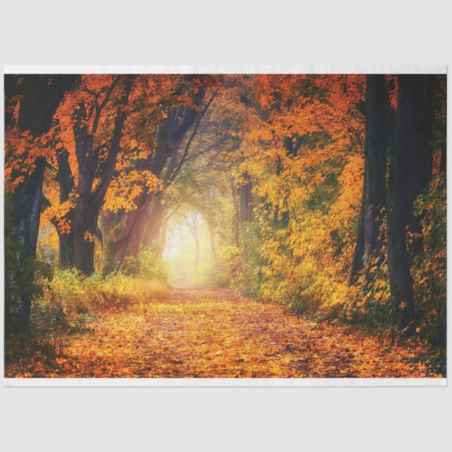 Mousseline Forêt Automne 12 Découpage Papier papier (Recto)