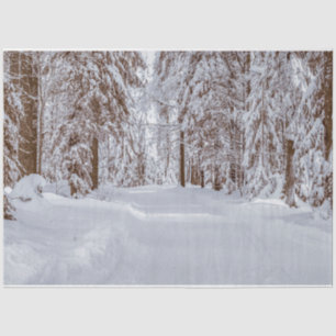 Mousseline Forêt Hiver 11 Découpage Papier papier