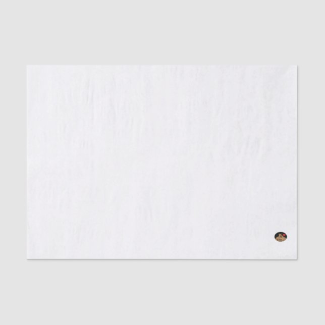 Mousseline HAMbyWG - 10lb Papier Tissu, bleu clair (Recto)