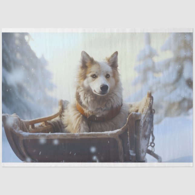 Mousseline Husky en papier découpage 1 à coudre (Recto)