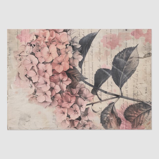 Mousseline Illustration d'hortensia vintage sur papier parche (Recto)
