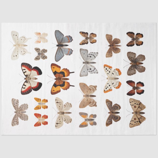 Mousseline Kaleidoscope des papillons de nuit 1 papier découp (Recto)