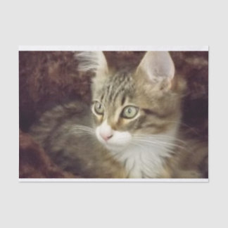 Mousseline Kitten Découpage Papier d'artisanat mobilier Chat