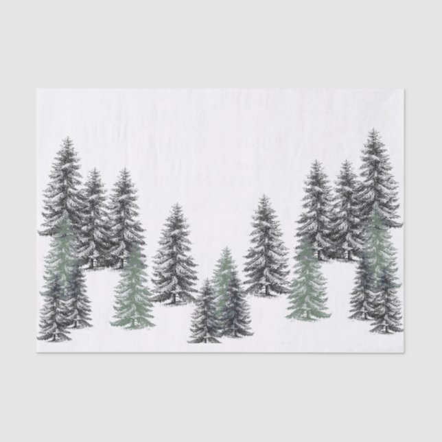 Mousseline Le pin noir vert des sapins sur le papier blanc (Recto)