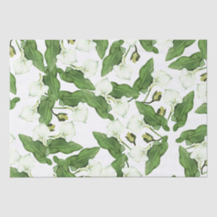Mousseline Le zantedeschia blanc vintage fleurit le papier de