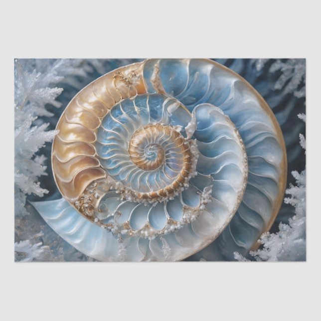 Mousseline Nautilus Shell à l'intérieur du papier de découpag (Recto)