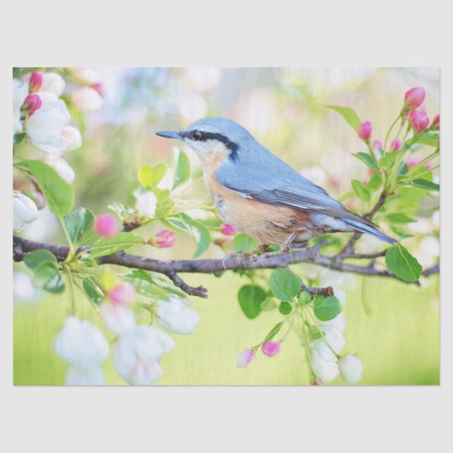 Mousseline oiseau dans le papier de mouchoir de printemps (Recto)