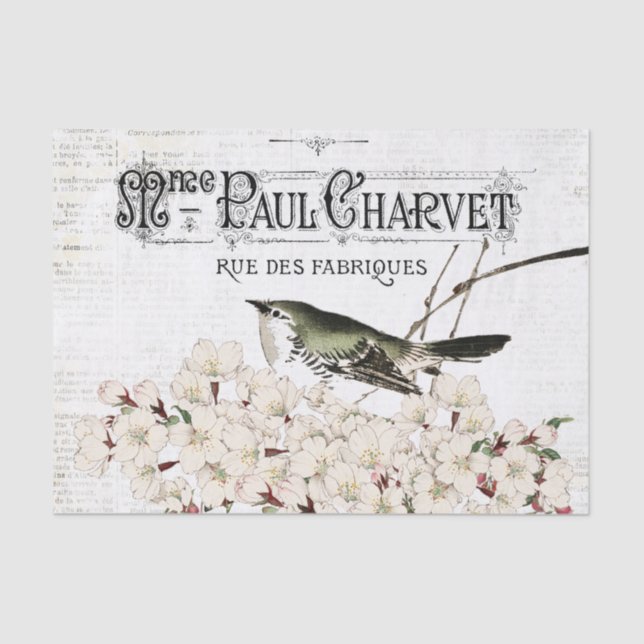 Mousseline Oiseaux et Magnolia papier de tissus (Recto)