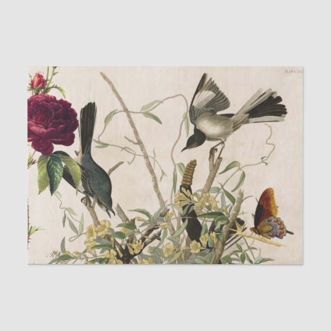 Mousseline OISEAUX ET Papier Tissu ROSE (Recto)