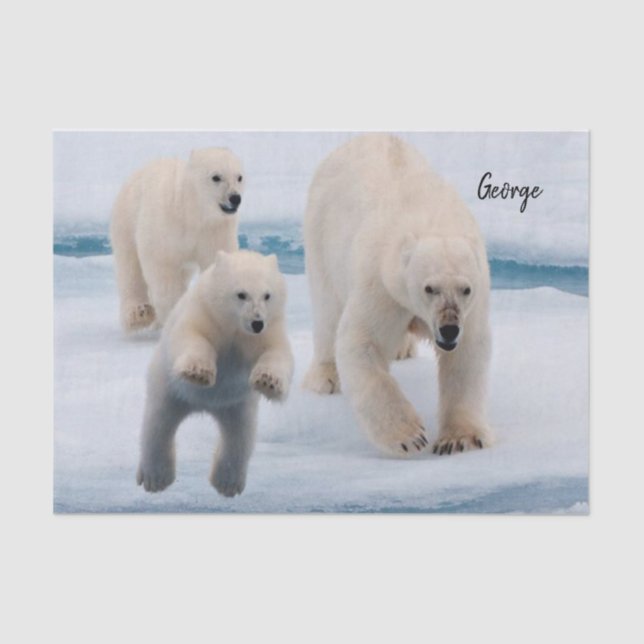 Mousseline Ours polaire en papier de tissus (Recto)