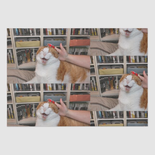 Mousseline Papier à enveloppement pointu (Recto)