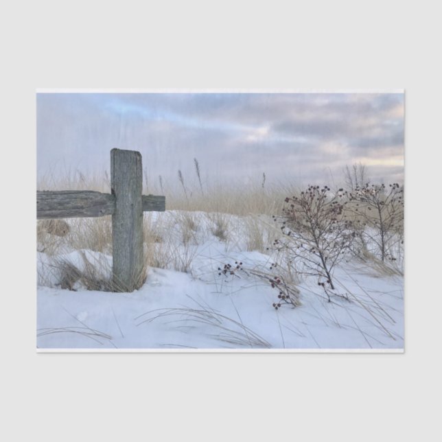 Mousseline Papier à papier à papier pour enveloppement cadeau (Recto)