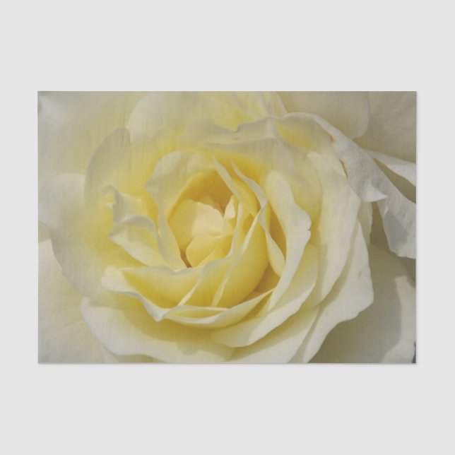 Mousseline Papier blanc (Recto)