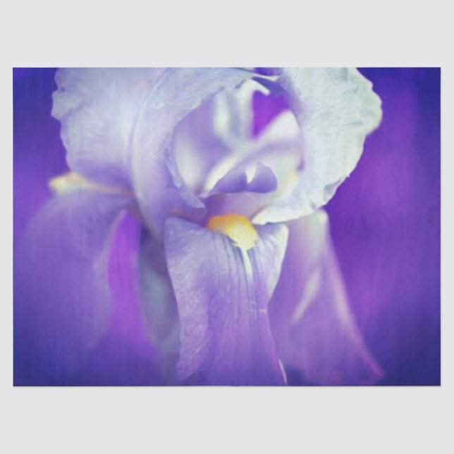 Mousseline Papier cadeau Iris bleu (Recto)
