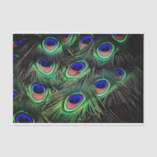 Mousseline Papier cadeau Peacock Feather Tissu (Recto)