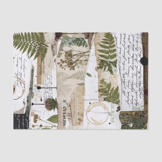 Mousseline Papier Collage Artisanal : - Botanique (Recto)