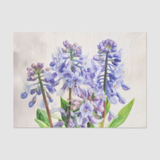 Mousseline Papier de découpage BLUEBELLS