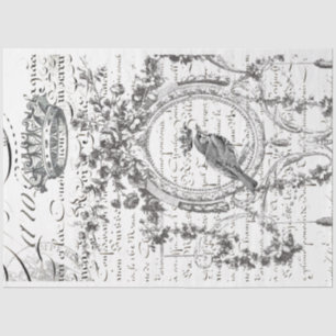 Mousseline Papier de découpage de script d'oiseaux