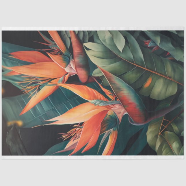 Mousseline Papier de découpage, Enveloppement, - Splendor en  (Recto)