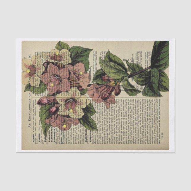 Mousseline Papier de découpage Floral vintage (Recto)
