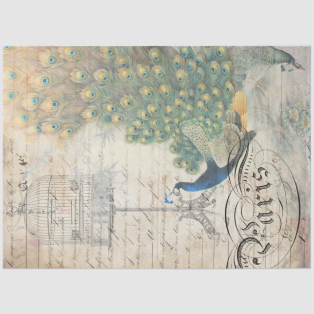 Mousseline Papier de découpage Peacock Ephemera Droite (Recto)