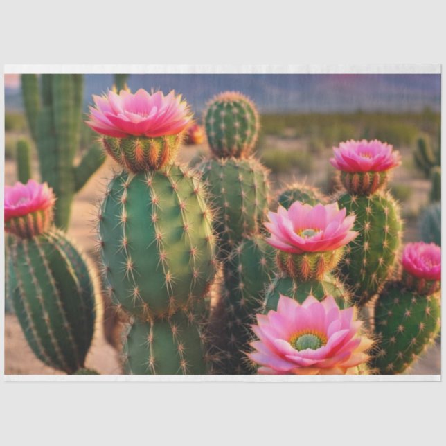 Mousseline Papier de découpage rose et vert Cactus Arizona (Recto)