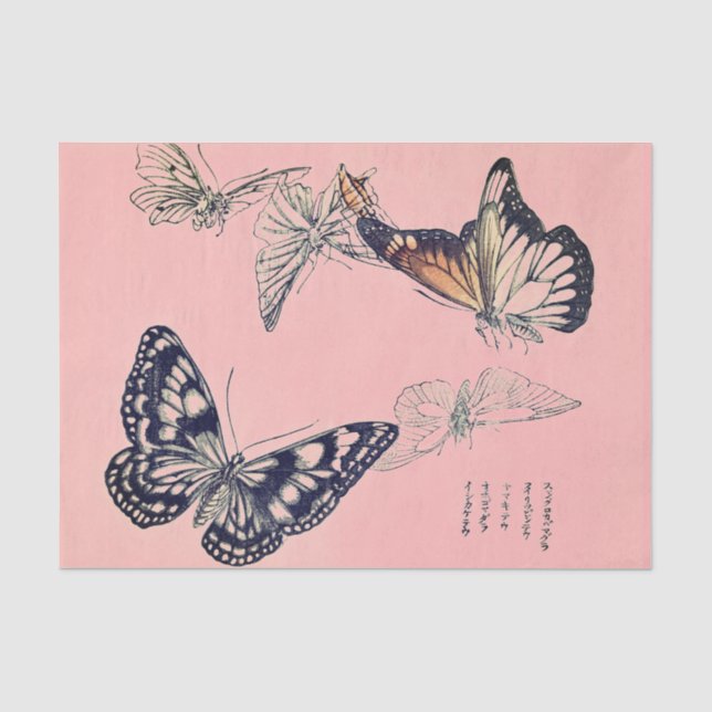 Mousseline Papier de fond BUTERFLY (Recto)