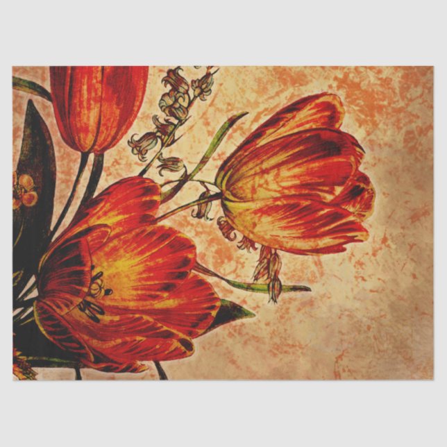 Mousseline Papier de fond floral Grunge Orange Tulip (Recto)