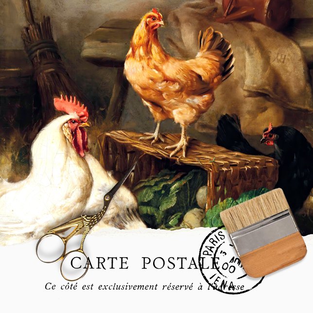 Mousseline Papier de fond vintage poulet et coq (Créateur téléchargé)