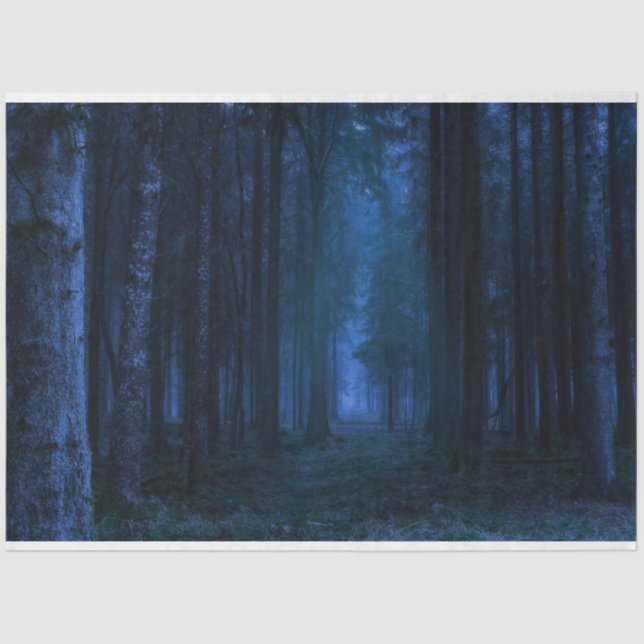 Mousseline Papier de papier de découpage de forêt de minuit (Recto)