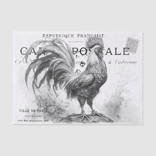Mousseline Papier de papier de fond de poulet (Recto)