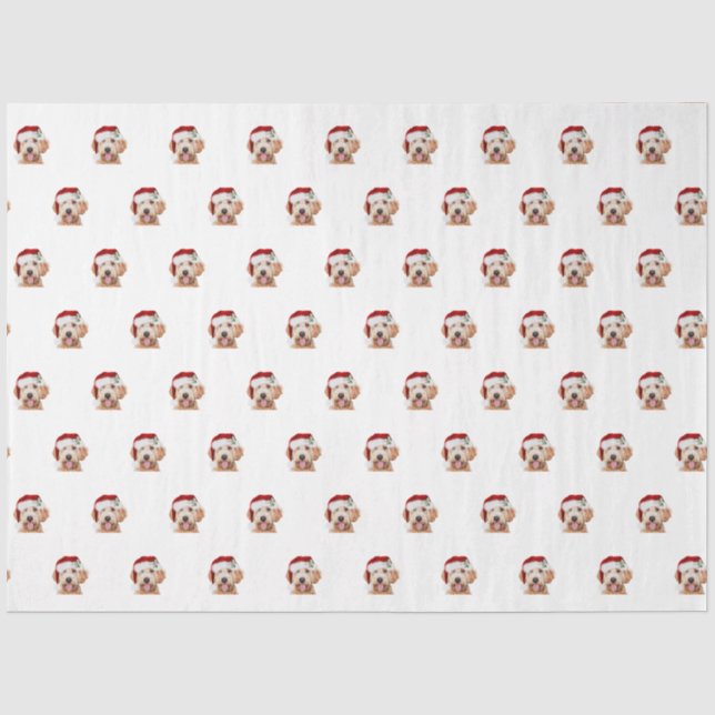 Mousseline Papier de papier de griffe dorée de Noël (Recto)
