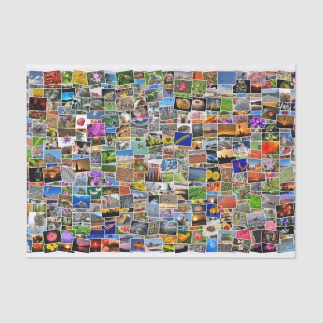 Mousseline papier de papier de papier de carte de voyage (Recto)