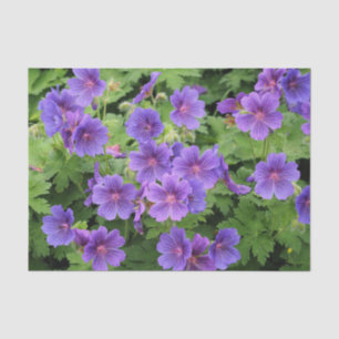 Mousseline Papier de papier de tôle de géranium de Cranesbill