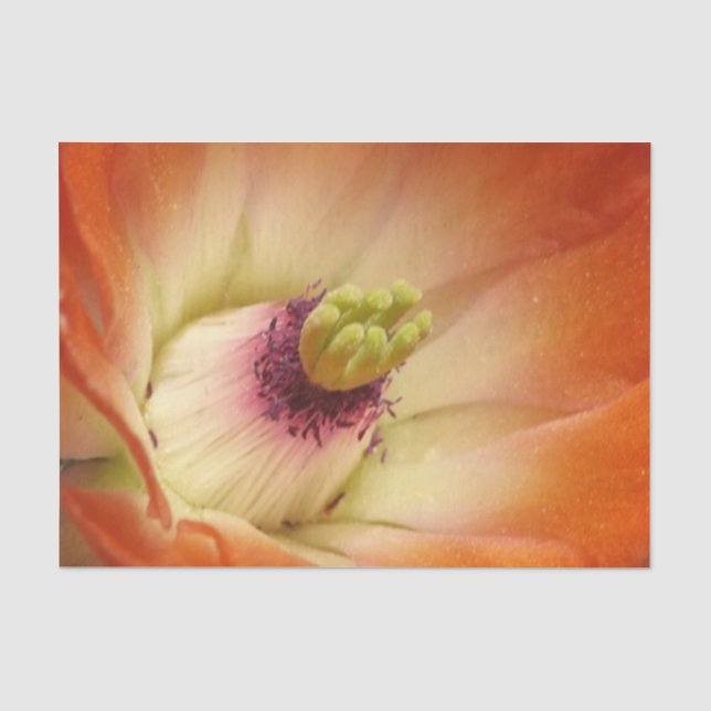 Mousseline Papier de papier Tissu Orange Cactus (Recto)