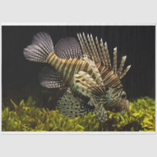 Mousseline papier de tissu aquarium lionfish