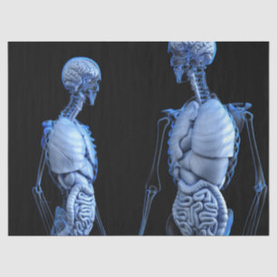 Mousseline papier de tissu d'anatomie humaine