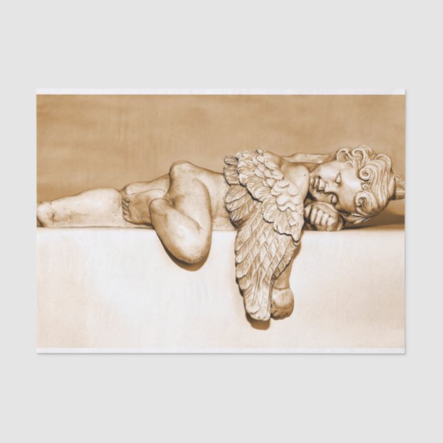 Mousseline papier de tissu d'ange dormant (Recto)