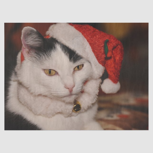 Mousseline Papier de tissu de chat Noël (Recto)