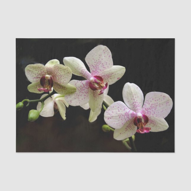 Mousseline papier de tissu de fleurs tropicales (Recto)