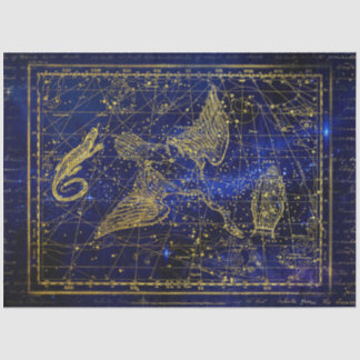 Mousseline papier de tissu de la constellation de lézard et d