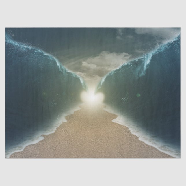 Mousseline papier de tissu de la mer rouge (Recto)