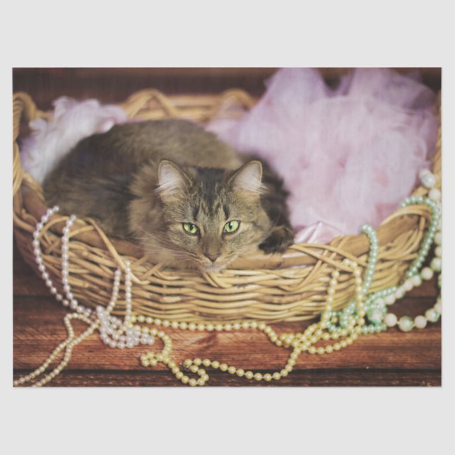 Mousseline papier de tissu de la partie (Recto)