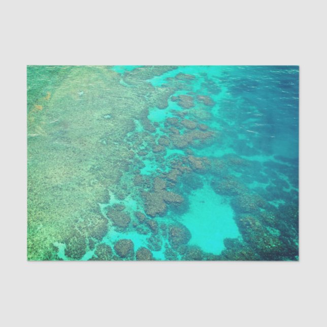 Mousseline Papier de tissu de récif corallien (Recto)